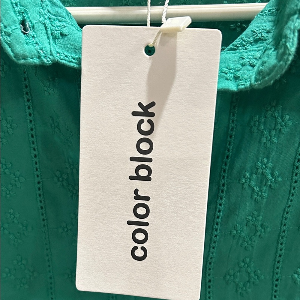 Green Embroidered Button-Down Shirt - Picture 2 of 4
